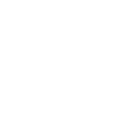 南阳师范学院图标