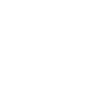 东莞城市学院图标