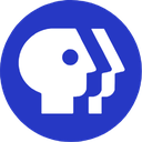PBS图标