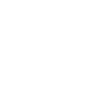 深圳北理莫斯科大学图标
