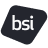 BSI图标