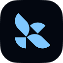 LangChain图标