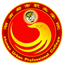 湖南都市职业学院图标