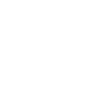 沈阳城市学院图标