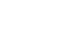 重庆数字产业职业技术学院图标
